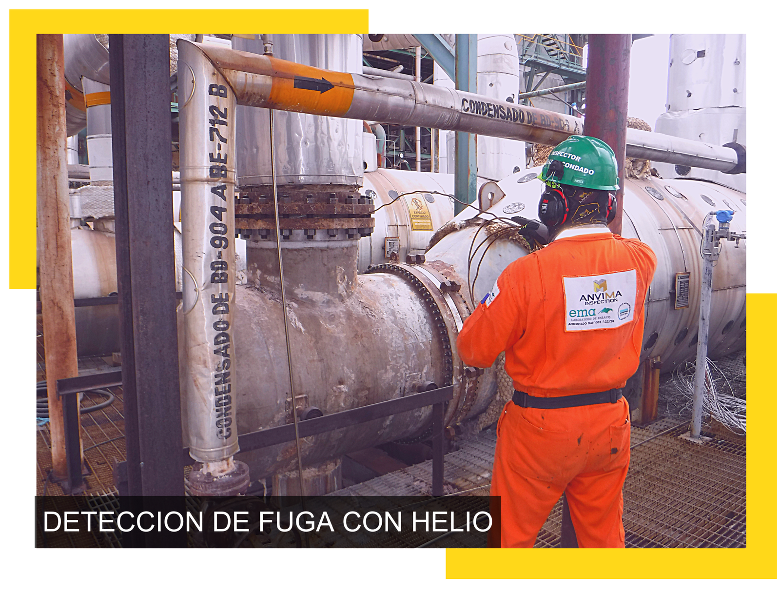 ANVIMA INSPECTION CASA